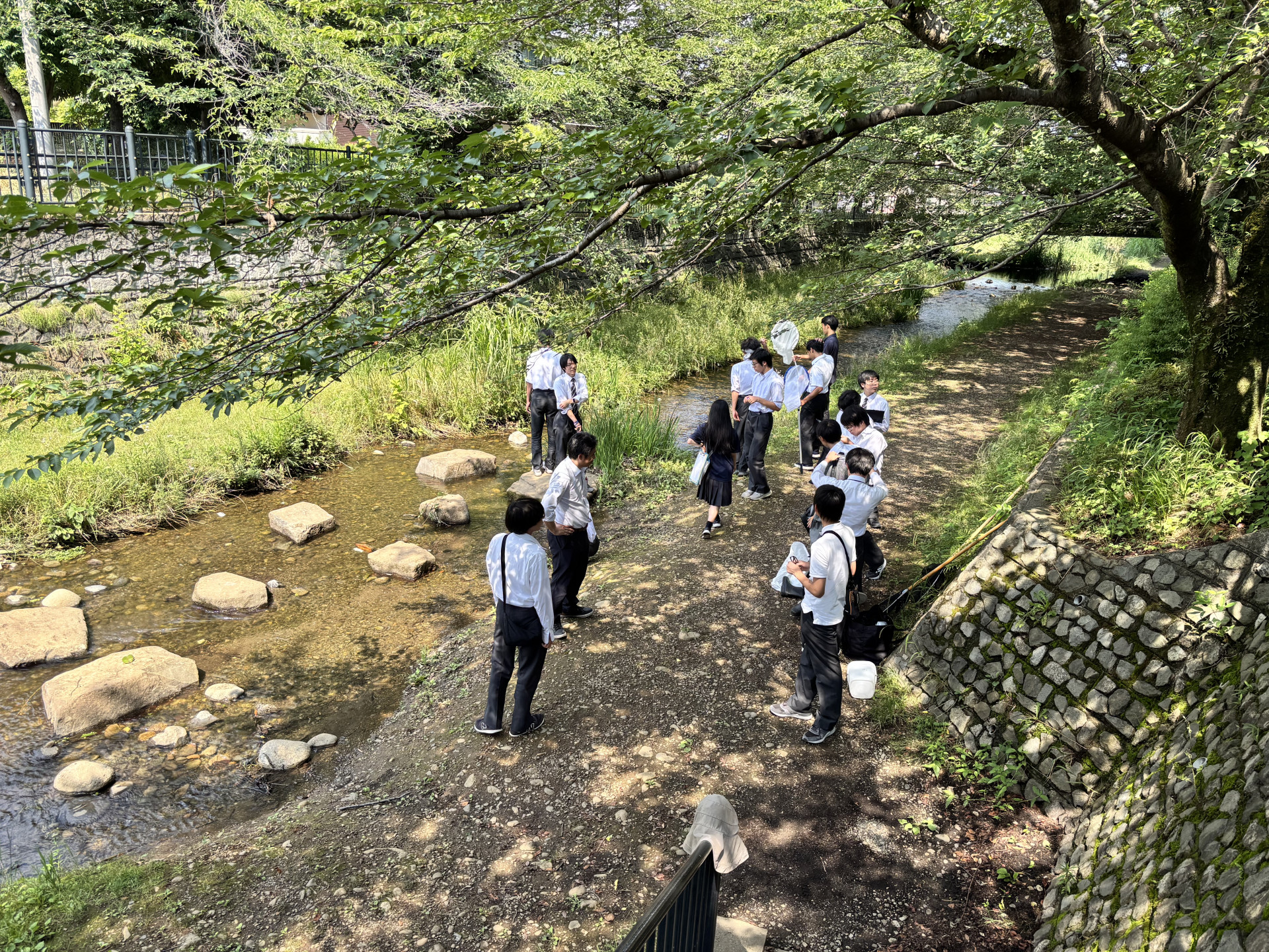 画像 -20260613-050037-c9f9c93f